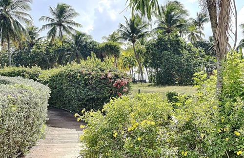 Pointe de la verdure Apartment | Blue paradise