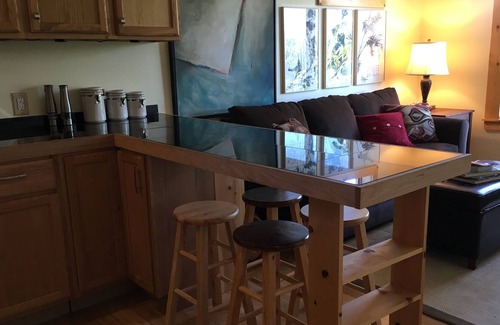 Lexington Apartment | Blue Ridge Artist's Studio
