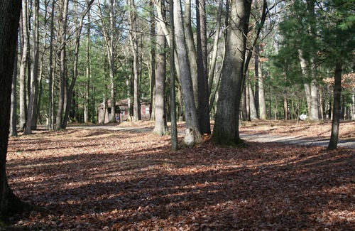 Tylersburg Cabin | Blue Spruce Cabin Getaway