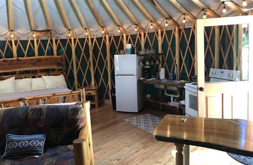 Coram Cabin | Blue yurt, out in the woods! Unplugged, you are out in nature away from it all.