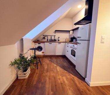 Offenburg Apartment | Boardinghouse alte Spinnerei