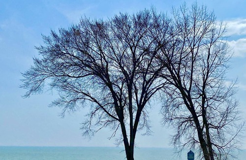 Algoma Apartment | Boardwalk Lake House