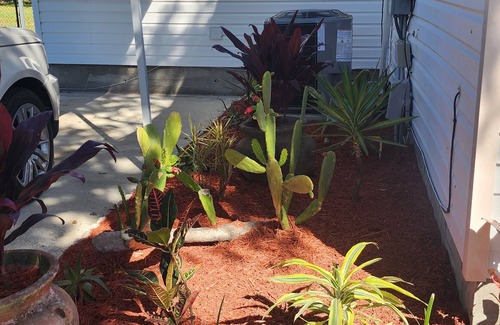Edgewater House | Boat. Beach. Surf ! 5 Min from NSB. Walk to Little Beach on Intercoastal.