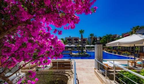Bodrum City Center Hotel | Bodrium Hotel & Spa