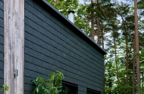 Vittsjo House | Boende nära till skog och sjö!