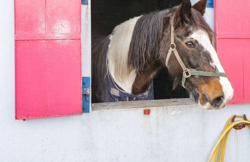 County Mayo Other | BOHANS BARN, pet friendly, with open fire in Crossmolina, County Mayo