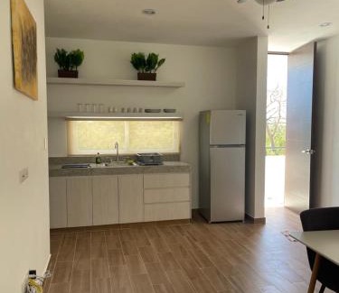 Merida Municipality Apartment | Bohen 11