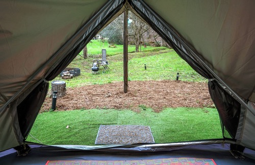 Cosby RV Rental | Boho Off-grid Glamping at Honeysuckle Springs