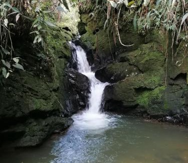 San Vicente Other | Boketto Glamping