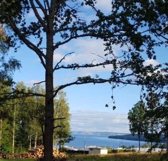 Habo House | Bokskogen stugby