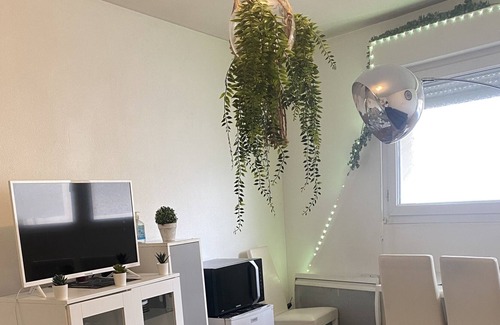 Saint-Bruno - Saint-Victor Apartment | Bordeaux center room and private room