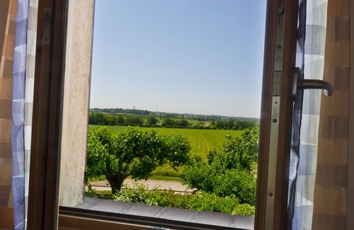 San Benedetto di Lugana House | Borgo San Donino - Selva Capuzza