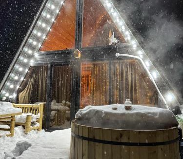 Likani Ski Chalet | Borjomi Story