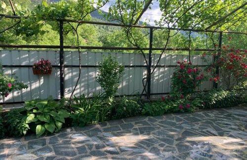 Borjomi House | borjomi wood edge