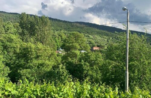 Borjomi House | borjomi wood edge