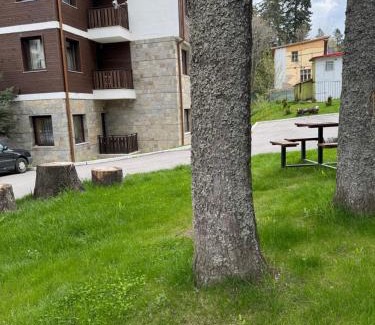 Borovets Apartment | Borovets Gardens MVS Apart D42