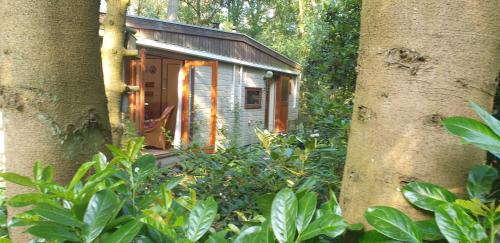 Diessen Ski Chalet | Bos-Chalet