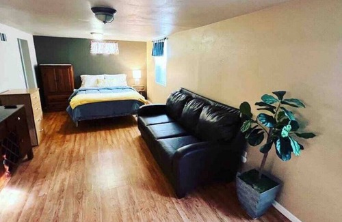 Central - Terry Apartment | Bo’s Spacious Studio Basement with HOT TUB