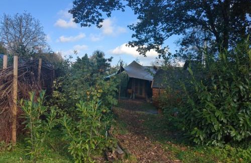 Volkel House | Boshut "De Steenuil" met sauna