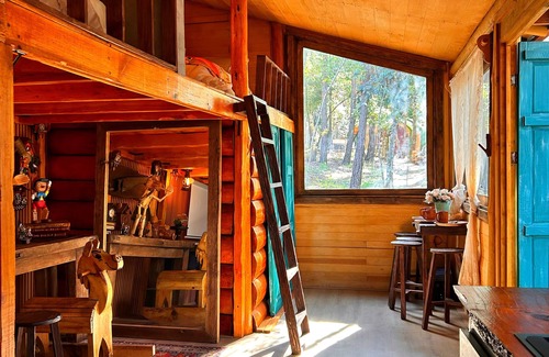 Huasca De Ocampo Cabin | Bosque Érase Una Vez- Unique Cabins in The Forest (pet friendly)