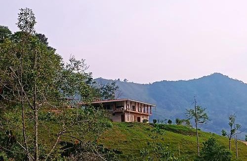 San Carlos House | Bosque Místico