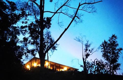 San Carlos House | Bosque Místico