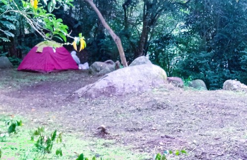 San Francisco Other | Bosque y río - Zona de camping en San francisco