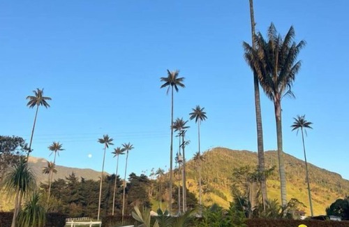 Salento Cabin | Bosques de Cocora Donde Juan B
