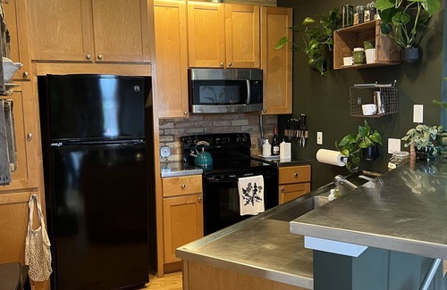 Old Town Apartment | Botanical Loft & Deck — Old Town Lansing