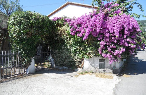 Ameglia House | BOUGANVILLEA HOUSE