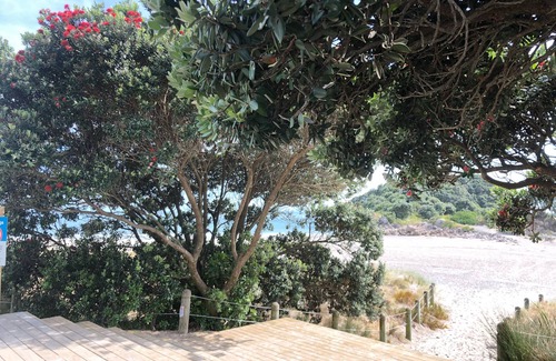 Mount Maunganui House | BOUTIQUE CENTRAL MOUNT HOUSE - KAYAKS, few mins to beach, harbour, cafes, shops