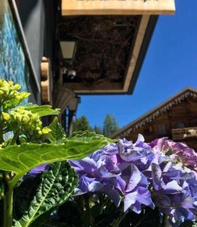 Morgins Hotel | Boutique-Hôtel Chez Jan