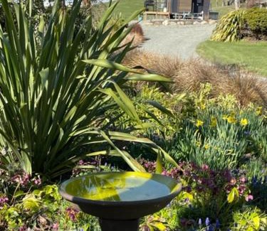 Te Anau Apartment | Boutique Tiny House - Te Anau Country Accommodation