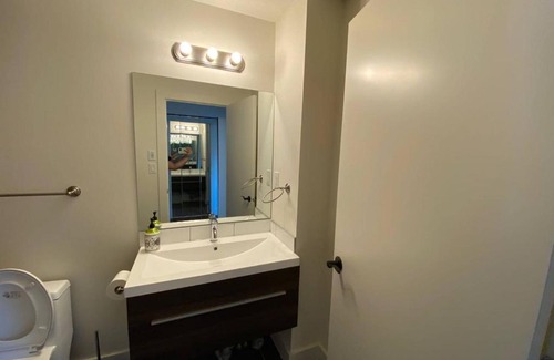 North Central Edmonton Apartment | Brand New 1 Br 1 Bath Close To All Walkable