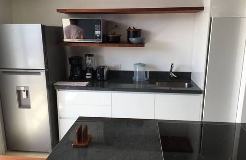 Zazil-ha Apartment | Brand New Luxury Apartment on 5th Ave, Wifi, near beach, Parking & Rooftop Pool