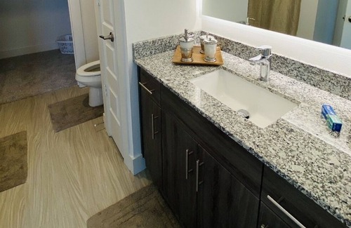 Plano Apartment | Brand NEW Luxury Apartment Pool Side View