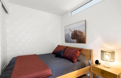Inner Harbour Condo | Brand New, Modern, Located in Chinatown, Pets welcome!