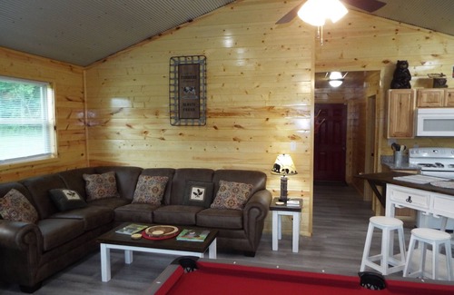 Cosby Cabin | Brand New "Mountain Life" No Contact check in