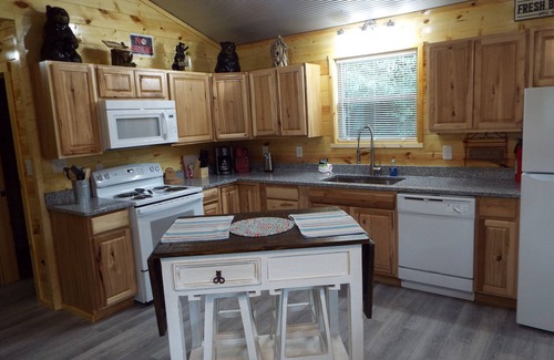 Cosby Cabin | Brand New "Mountain Life" No Contact check in