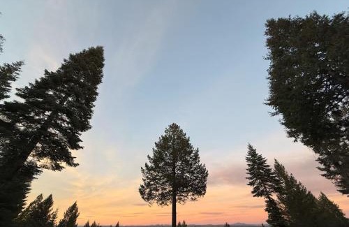 Nevada City House | Breathtaking View Nevada City