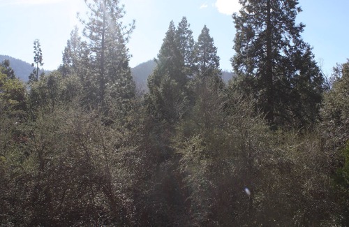 Springville Cabin | Breathtaking views of Slate Mountain and the Sequoia National Forest.
