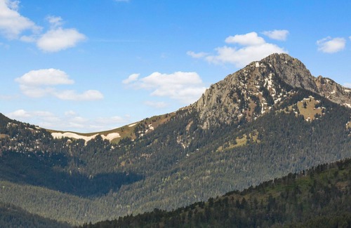 Bozeman House | Bridger Bear Paw Cabin