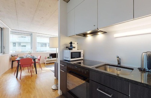 Sion Apartment | Bright and luminous 1 bedroom flat in downtown