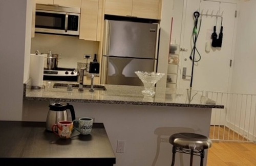 Hunters Point Apartment | Bright and Spacious Luxury 1-bedroom with in-unit W/D