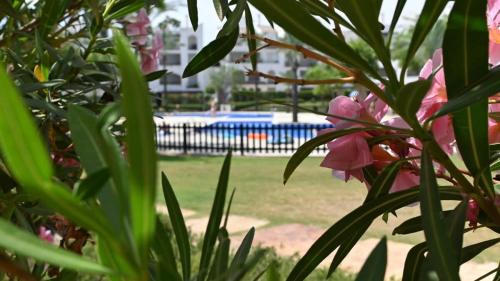 Roldan Apartment | Bright improved ground floor apartment - BA202LT