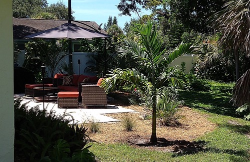 South Venice House | Bright Open Quiet Venice House Minutes from Beach and Intercoastal WaterwayTrail