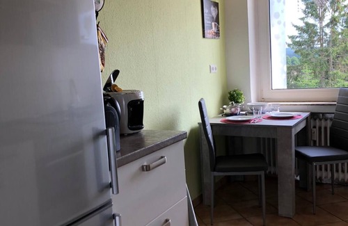 Braunlage Apartment | Bright, quiet apartment with beautiful view of the Wurmberg and balcony