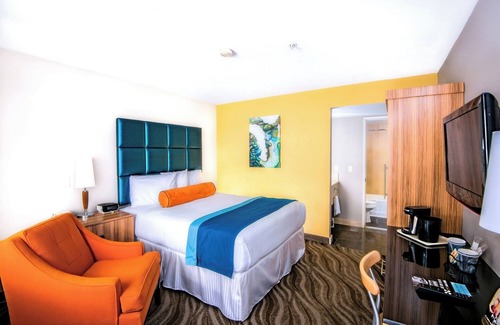 Little Italy Hotel | Bright Room w/Artistic Touch Near Museums, Harbor + Local Attractions