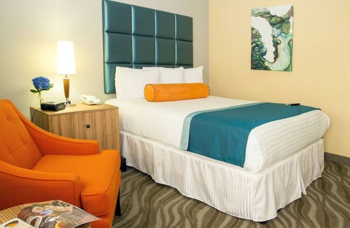 Little Italy Hotel | Bright Room w/Artistic Touch Near Museums, Harbor + Local Attractions