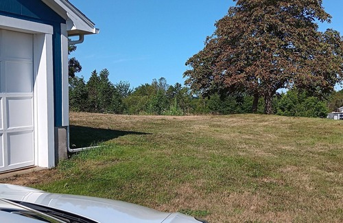 Church Point House | Bright, spacious Acadian Home with country views and in reach of Acadian Shores!